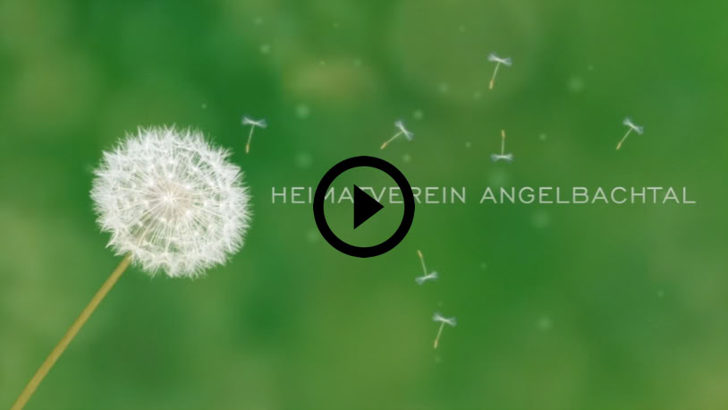 Video Video abspielen